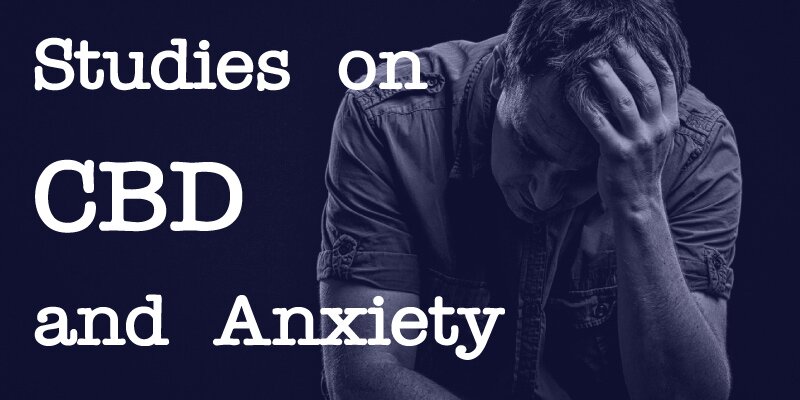 CBD and anxiety studies